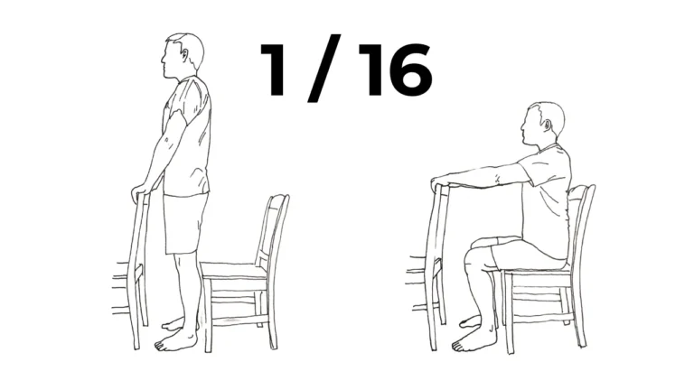 Beginner calisthenics assisted sit to stand squat level 1 using chair for leg strength