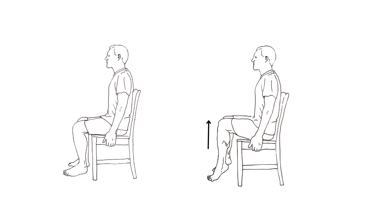 Seated calf raise full range Level 2 of 21 in calf progression for beginners