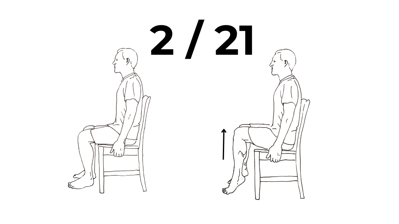 Seated calf raise full range Level 2 of 21 in calf progression for beginners