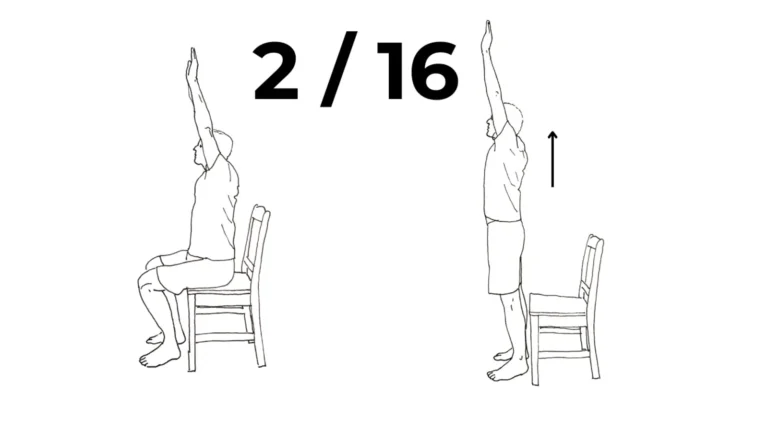Sit to stand squat hands overhead Level 2 calisthenics leg exercise for beginners