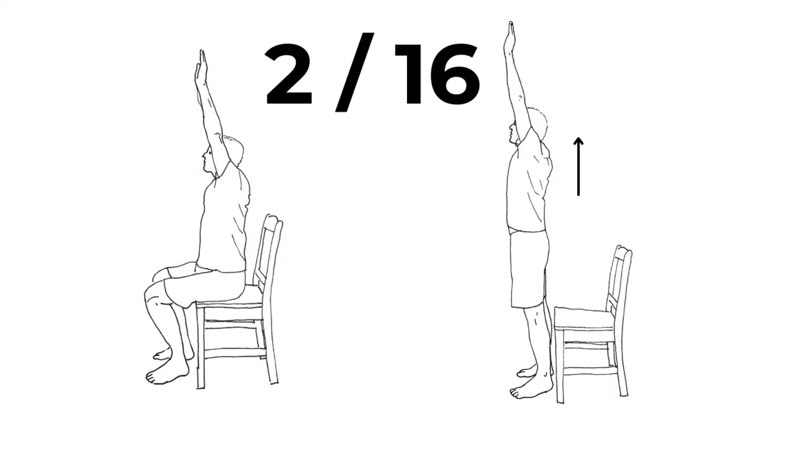 Sit to stand squat hands overhead Level 2 calisthenics leg exercise for beginners